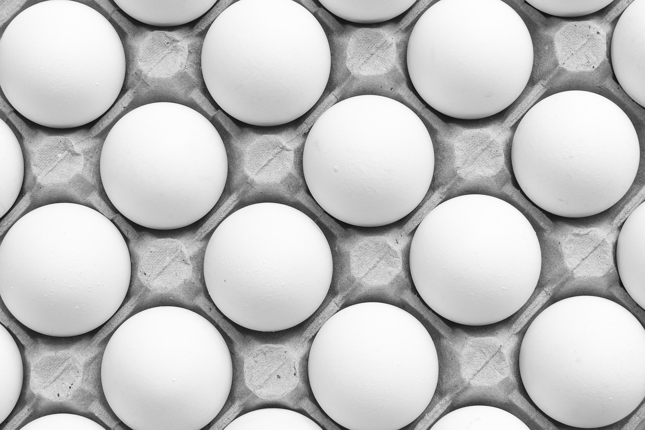 How Egg Donation Works: A Complete Overview for Intended Parents in San Diego